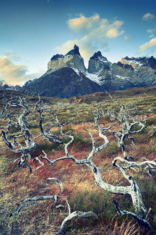 Torres del Paine - 智利巴塔哥尼亚